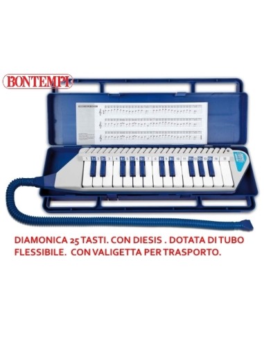 CLAVIETTA 25 TASTI CON VALIGETTA