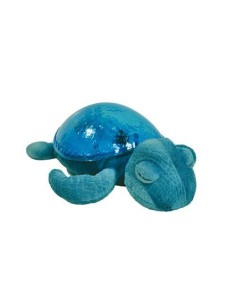 Cloud b - Tranquil Turtle - Aqua
