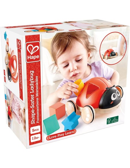 Coccinella selezionatore di forme