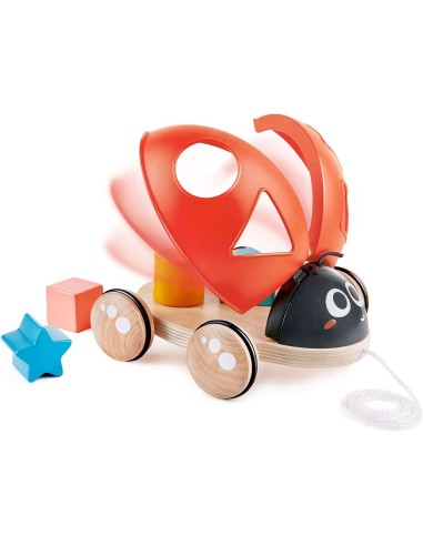 Coccinella selezionatore di forme