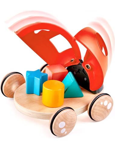 Coccinella selezionatore di forme