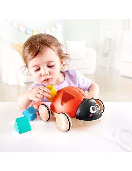 Coccinella selezionatore di forme