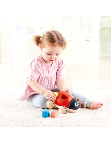 Coccinella selezionatore di forme