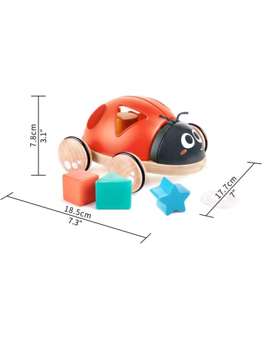 Coccinella selezionatore di forme
