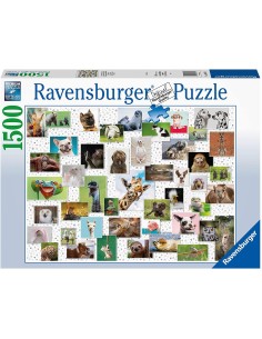 Collage di animali Divertenti, 1500 PZ