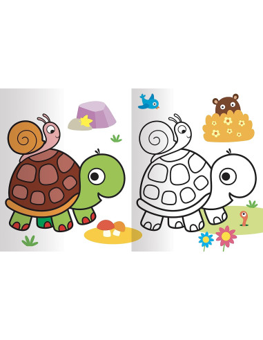 Colorare Super Color