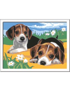 CUCCIOLI DI JACK RUSSEL 2