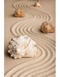 DIAMANTINY Level Up - ARTIST - Sabbia