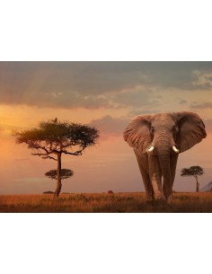 ELEFANTE DEL MASAI MARA 1000PZ 2