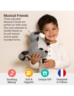 Animali Musicali - Denver il Procione 2