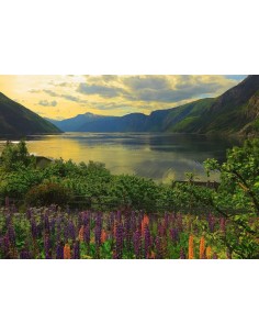 Fiordo in Norvegia 1000 PZ 2