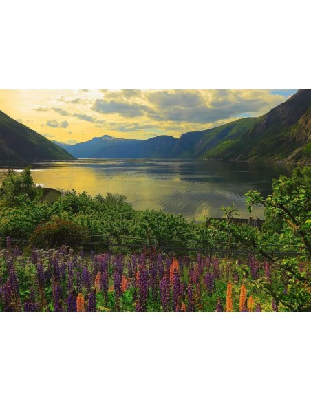 Fiordo in Norvegia 1000 PZ