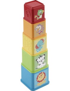 Fisher Price - Blocchi degli Animali 2