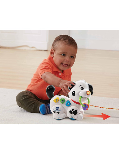 Vtech - Macchia - 1,2,3 Canta e Cammina con me!