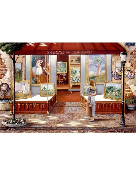 Galleria di Belle Arti 3000 PZ