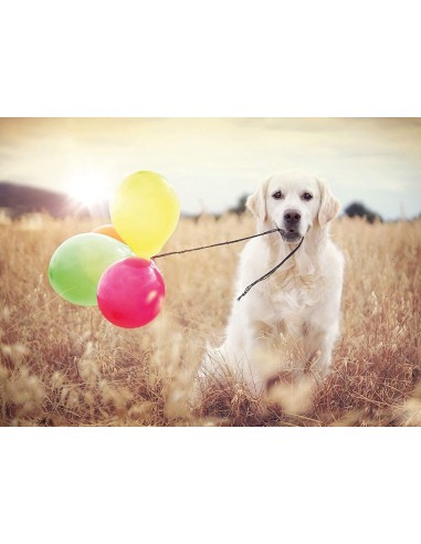 Giorno di festa 500 pz