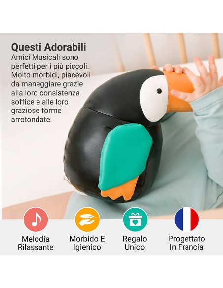 Gli Animali Musicali - Jean il Tucano