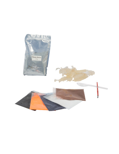 A di Arte Animal Revival Jungle