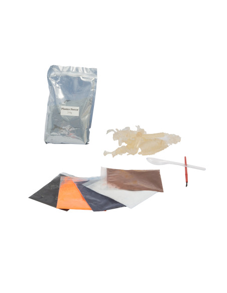 A di Arte Animal Revival Jungle