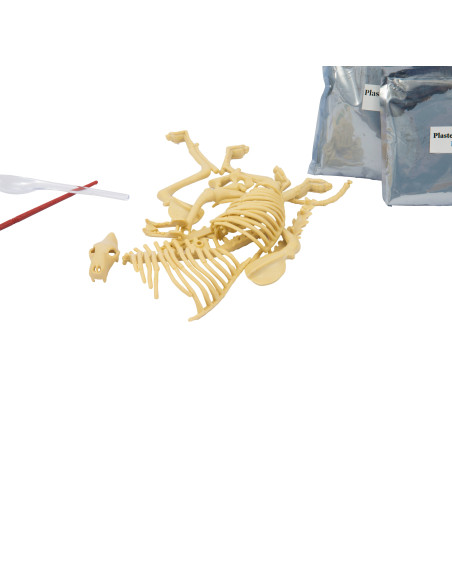 A di Arte Animal Revival Jungle