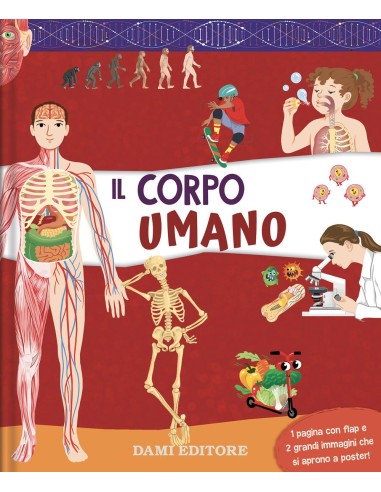 Il corpo umano