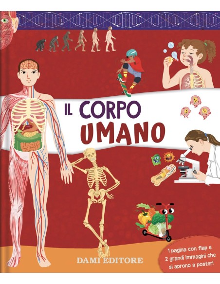 Il corpo umano