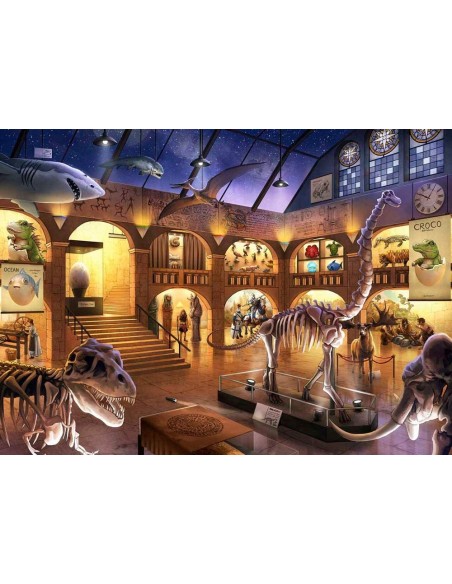 Il museo di storia naturale