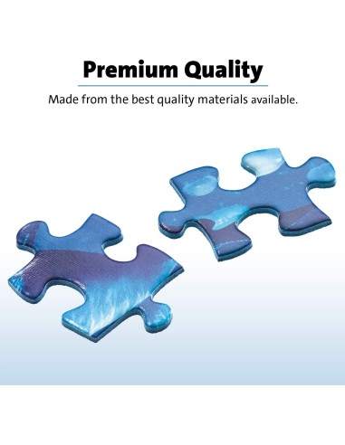 LA BIBLIOTECA BIZZARRA 2, 1000 PZ