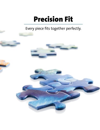 LA BIBLIOTECA BIZZARRA 2, 1000 PZ