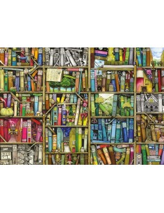 LA LIBRERIA BIZZARRA 1000 pz 2