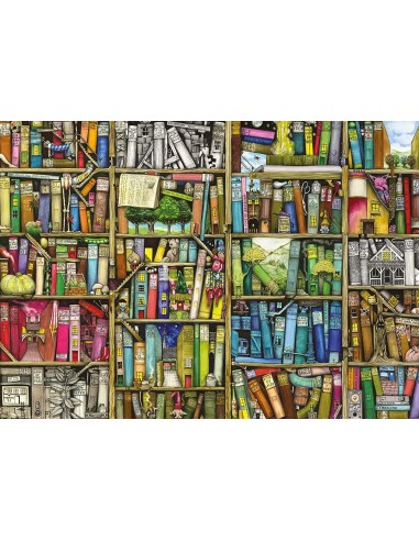 LA LIBRERIA BIZZARRA 1000 pz