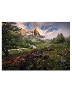 ATMOSFERA PITTORESCA 1000 PZ - RAVENSBURGER 2