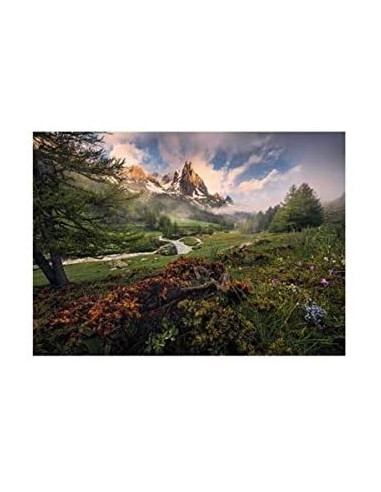 ATMOSFERA PITTORESCA 1000 PZ - RAVENSBURGER