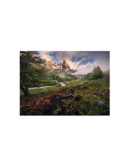 ATMOSFERA PITTORESCA 1000 PZ - RAVENSBURGER