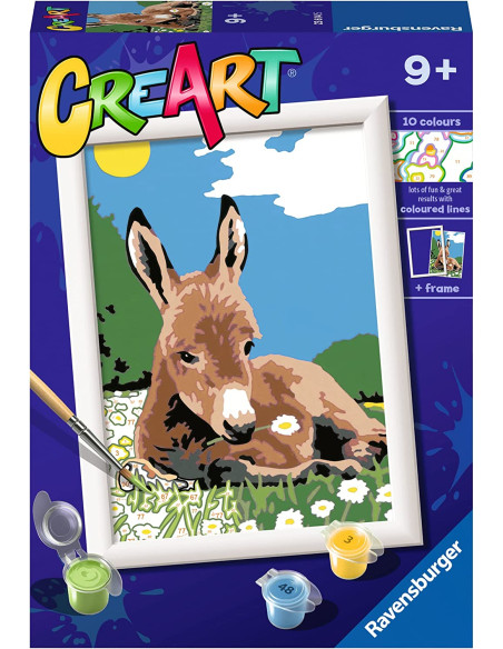 CreArt Serie E Classic - Asinello