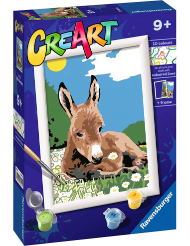 CreArt Serie E Classic - Asinello