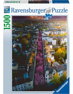 Puzzle 1500 pz Bonn in Fiore