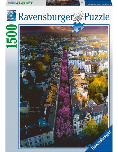 Puzzle 1500 pz Bonn in Fiore