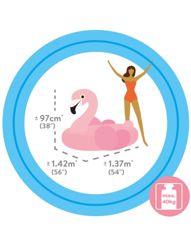 CAVALCABILE FENICOTTERO 142X137